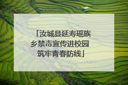汝城县延寿瑶族乡禁毒宣传进校园 筑牢青春防线