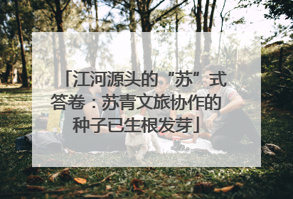江河源头的“苏”式答卷：苏青文旅协作的种子已生根发芽
