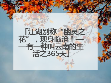 江湖别称“幽灵之花”，现身临沧！——有一种叫云南的生活之365天