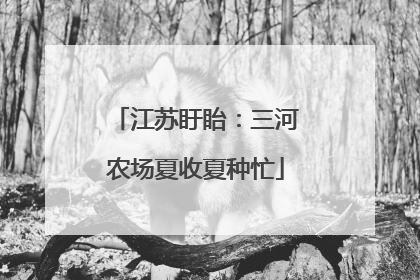 江苏盱眙：三河农场夏收夏种忙
