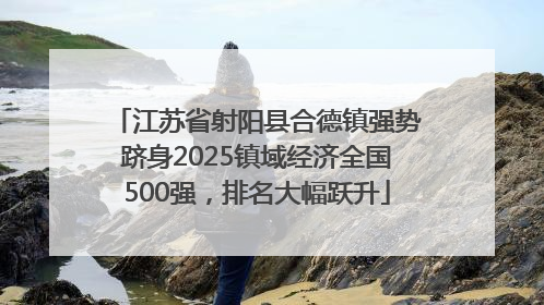 江苏省射阳县合德镇强势跻身2025镇域经济全国500强，排名大幅跃升