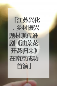 江苏兴化：乡村振兴题材现代淮剧《油菜花开燕归来》在南京成功首演