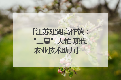 江苏建湖高作镇：“三夏”大忙 现代农业技术助力