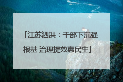 江苏泗洪：干部下沉强根基 治理提效惠民生