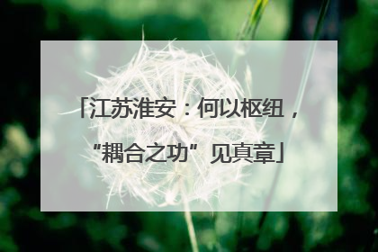 江苏淮安：何以枢纽，“耦合之功”见真章