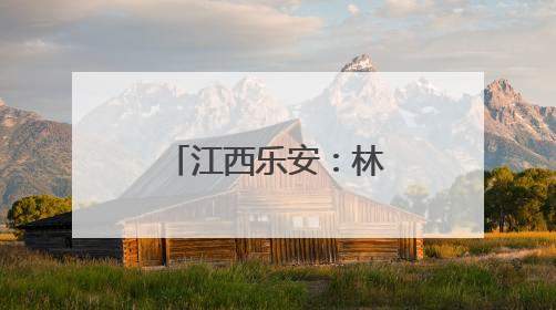 江西乐安：林下紫灵芝撑开群众“致富伞”