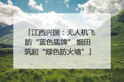 江西兴国：无人机飞防“蓝色盾牌” 烟田筑起“绿色防火墙”