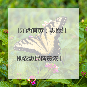 江西宜黄：志愿红助农惠民情意浓