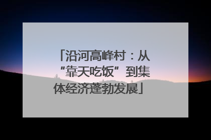 沿河高峰村：从“靠天吃饭”到集体经济蓬勃发展