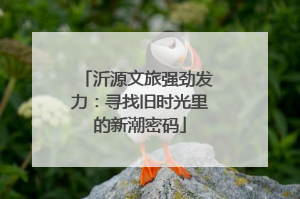 沂源文旅强劲发力：寻找旧时光里的新潮密码