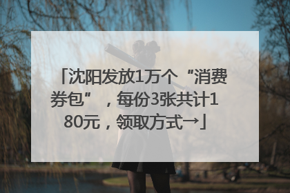 沈阳发放1万个“消费券包”，每份3张共计180元，领取方式→