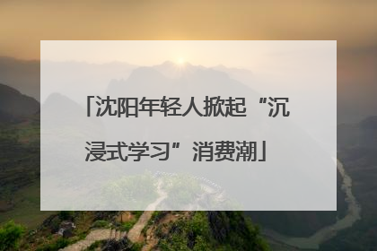 沈阳年轻人掀起“沉浸式学习”消费潮