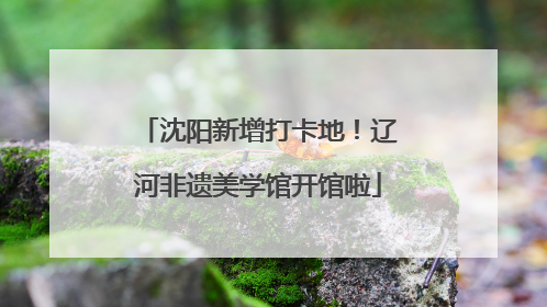 沈阳新增打卡地！辽河非遗美学馆开馆啦