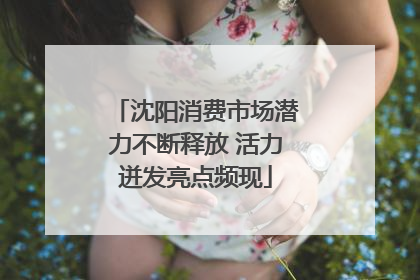 沈阳消费市场潜力不断释放 活力迸发亮点频现