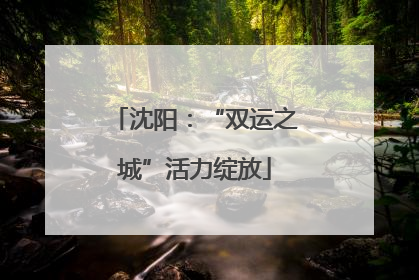 沈阳：“双运之城”活力绽放