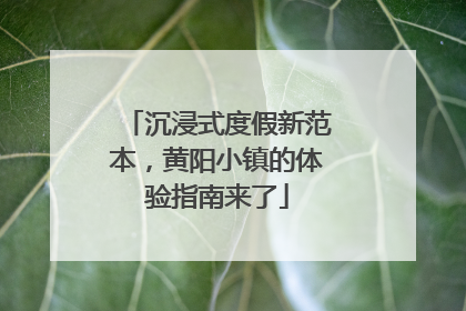 沉浸式度假新范本，黄阳小镇的体验指南来了