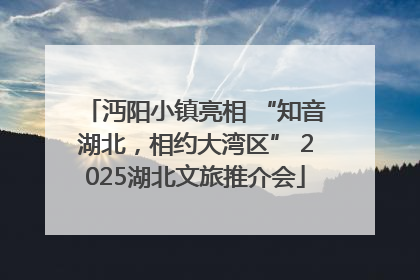 沔阳小镇亮相 “知音湖北，相约大湾区” 2025湖北文旅推介会
