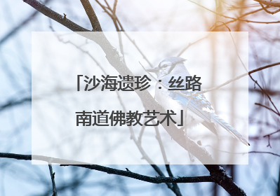 沙海遗珍：丝路南道佛教艺术