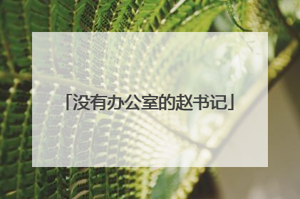 没有办公室的赵书记