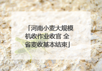 河南小麦大规模机收作业收官 全省麦收基本结束
