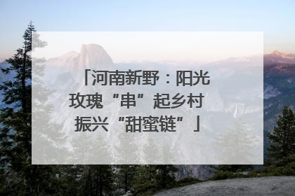 河南新野：阳光玫瑰“串”起乡村振兴“甜蜜链”