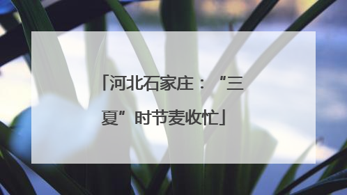 河北石家庄：“三夏”时节麦收忙