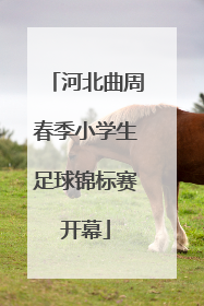 河北曲周春季小学生足球锦标赛开幕