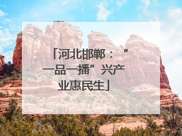 河北邯郸：“一品一播”兴产业惠民生