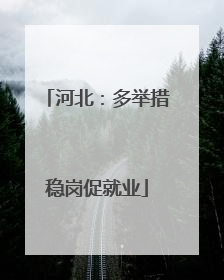 河北：多举措稳岗促就业