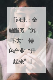 河北：金融服务“沉下去” 特色产业“升起来”