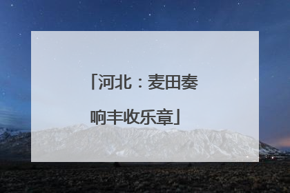河北：麦田奏响丰收乐章
