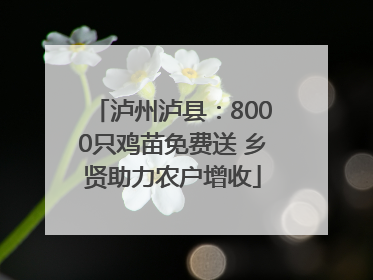 泸州泸县：8000只鸡苗免费送 乡贤助力农户增收