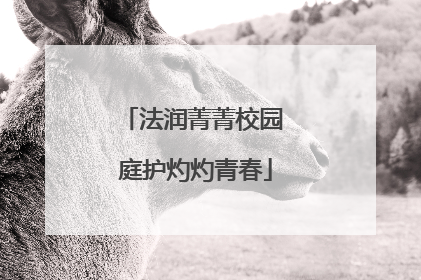 法润菁菁校园 庭护灼灼青春