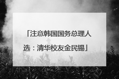 注意韩国国务总理人选：清华校友金民锡