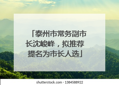 泰州市常务副市长沈峻峰，拟推荐提名为市长人选