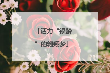 活力“银龄”的翱翔梦