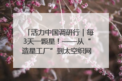 活力中国调研行｜每3天一颗星！——从“造星工厂”到太空织网的“银河速度”