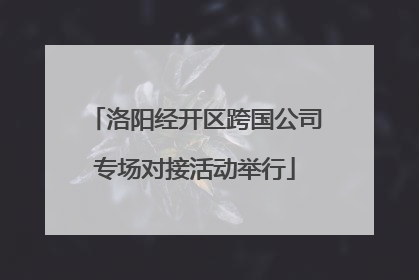 洛阳经开区跨国公司专场对接活动举行