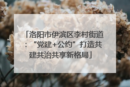 洛阳市伊滨区李村街道：“党建+公约”打造共建共治共享新格局