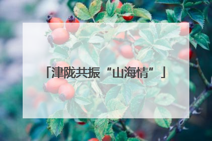 津陇共振“山海情”