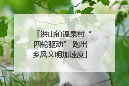 洪山镇温泉村“四轮驱动” 跑出乡风文明加速度