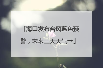 海口发布台风蓝色预警，未来三天天气→