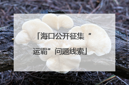海口公开征集“运霸”问题线索