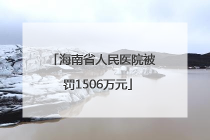 海南省人民医院被罚1506万元