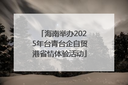海南举办2025年台青台企自贸港省情体验活动