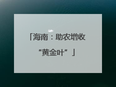 海南：助农增收 “黄金叶”