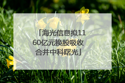 海光信息拟1160亿元换股吸收合并中科曙光