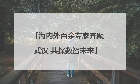 海内外百余专家齐聚武汉 共探数智未来