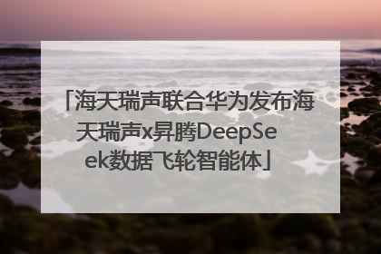 海天瑞声联合华为发布海天瑞声x昇腾DeepSeek数据飞轮智能体