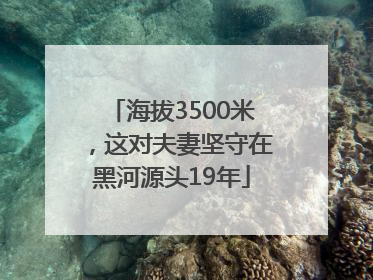 海拔3500米，这对夫妻坚守在黑河源头19年